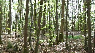 PICKING VIOLET IN GALWAY WOOD