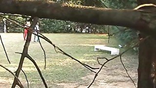 Public fucking in a park