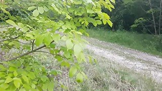 Teen si masturba nel bosco e viene scopata da un estraneo! LustTaste 4K