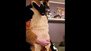 Fursuit watersports and cum!