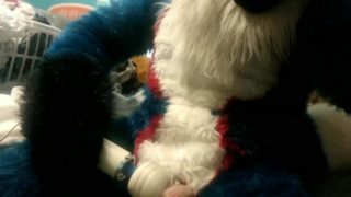 Quick little fursuit wanding vid