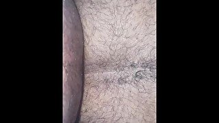 Hairy Latino ass breeded  by BBC