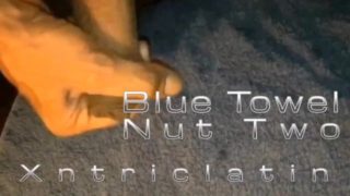 Blue Towel Nut Two