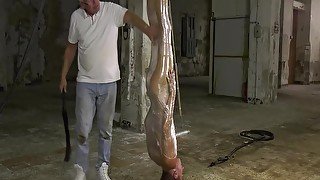 Tied Hung Humiliated Slave