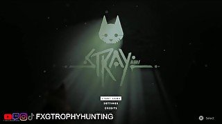 Boom Chat Kalaka - Stray - Trophy / Achievement Guide