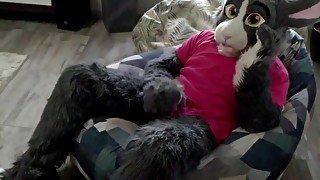 Cute murrsuit bunny masturbates until full satisfaction ♥ )