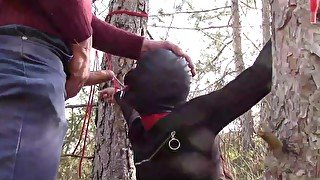 Tied to a tree on a sexy outfit, masked and outdoor deepthroat with no mercy