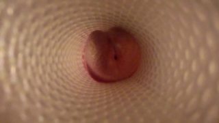 Il baise un Fleshlight - A quoi ça ressemble de l'intérieur?