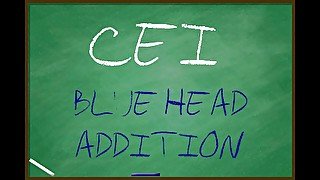 AUDIO ONLY - CEI blue head addition