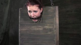 BDSM submissive has both holes toyed