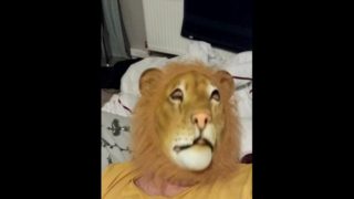 Hot lion jerks off. 