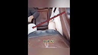 Cuck drives while hotwife fucks 2 bulls in backseat, cuck gets very sloppy thirds - - onlyfans prev