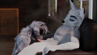 Wolf gets a blowjob-Furry Yiff