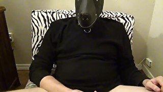 Countdown JOI Full Video of Man-Pet Masturbating to completion