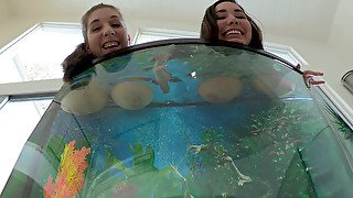 Busty girls Alex Chance and Karlee Grey wets their boobs in the aquarium