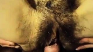 Very Hairy Pussy Fuck