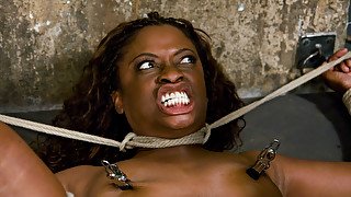 Monique in HogTied Welcome Sexy Milf Monique For Her First Hardcore Bondage Experience. - HogTied