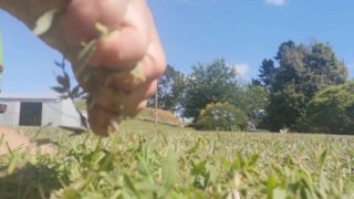 Grass Soles - Feet asmr