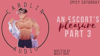 [M4F] An Escort's Pleasure Pt. 3 [Male Moaning] [Light BDSM] [MDom] [Male Escort]