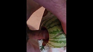 Fucking a watermelon