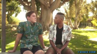 Big dick twinks interracial with facial cum