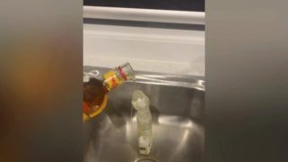 Washing my NEW dildo with FIREBALL cuz Covid made straight  sell out