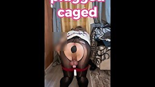 Amateur Crossdresser Plugged and Caged