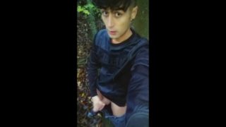 Twink jerks off outdoor behind rest area