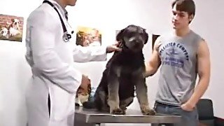 Joven propietario de perro se folla al veterinario en casa