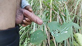 Indian boy cumshot in forest