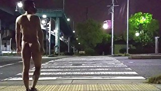 #017 Crossing a pedestrian crossing in the nude (2020)