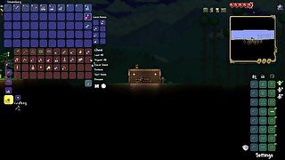 TERRARIA #2- First night and talking with undead