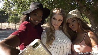 Daya Knight &amp; September Reign &amp; Bunny Colby - Zebra