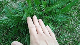 Petting sexy plant