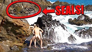 SEX BY A PACK OF SEALS - IRIS IN THE WILD (ep. 8)