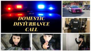 DOMESTIC DISTURBANCE CALL - PREVIEW