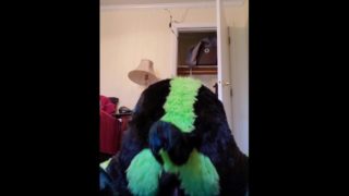 Fursuiter stuffs hole