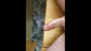 College bear jerks cock at desk