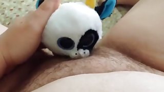 daisy eats my pussy