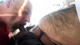 Dad sucking hairy cub