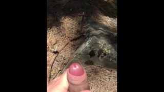 Public wank in Forrest with cum