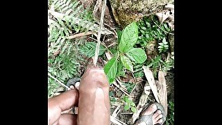 Big cock pissing on tree