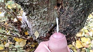 Cumshot on cruiser's cum on the tree