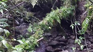 Amateur couple fuck in the forest. POV Sexe Blowjob Cumshot