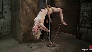 Hot Blond Suffers Though A Category 5 Inverted Suspension.how Many Orgasms Can She Take?