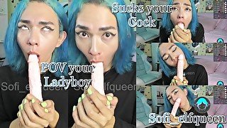 POV your ladyboy sucks your big cock