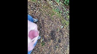 Quick-cut cumshot in the forest…a nudist exhibitionist shoots his load