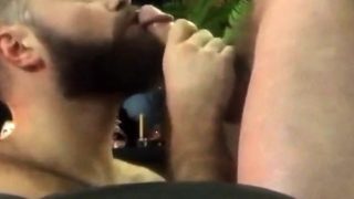 Bearded guy suck and swallow