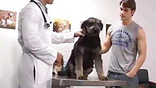 Fucking the vet