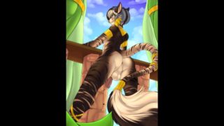 Random Furry Yiff Compilation 1#